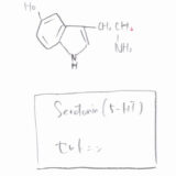 セロトニンとメラトニンの合成・セロトニン代謝